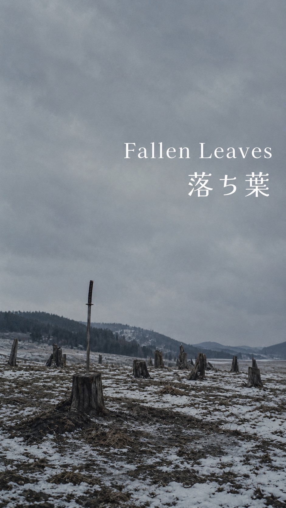 Fallen Leaves
